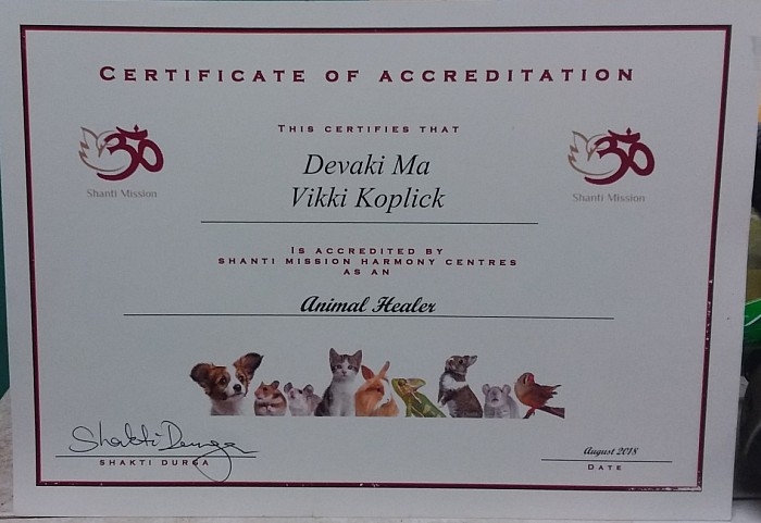 Animal energy healer certificate